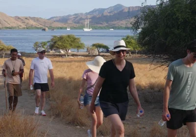 How to Choose the Right Komodo Cruise: Day, Overnight, or Bespoke